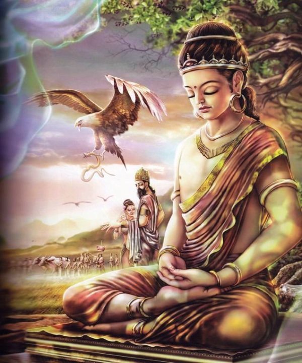 Read more about the article Siddhartha’s First Meditation