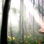 Date of Joseph’s First Vision